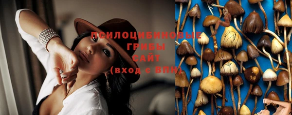 ALPHA PVP Вяземский